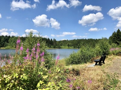 Holiday house Ferienhaus in Clausthal-Zellerfeld mit Terrasse - Environment photo 19