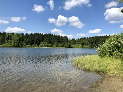 Holiday house Ferienhaus in Clausthal-Zellerfeld mit Terrasse - Environment photo 20