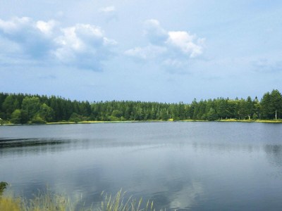 Holiday park Ferienhaus in Clausthal-Zellerfeld mit Terrasse - Outdoor photo 33