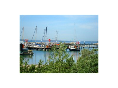 Holiday house Haus Kranich - Environment photo 17