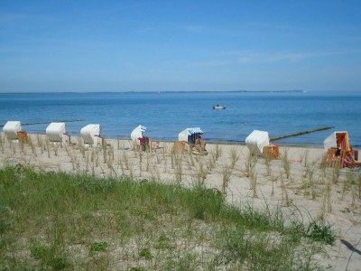 Holiday house Haus Kranich - Environment photo 20