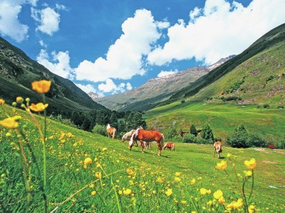 Apartment Chalet in Vent near Stablein Ski Lift - Environment photo 19