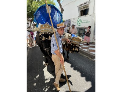 Holiday apartment Villa Alhambra Zentrumsnah - Environment photo 28