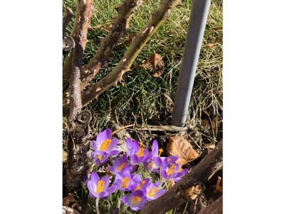 Apartment Appartement Nr. 2 mit separaten Schlafzimmer - Outdoor photo 11