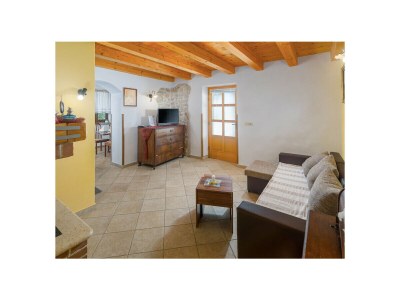 Villa Pelizzar Vrsar - Features photo 10