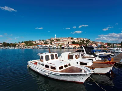 Villa Pelizzar Vrsar - Environment photo 21