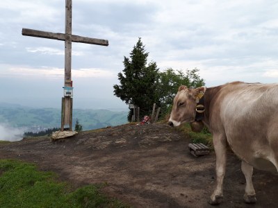 Holiday house Messmer - Environment photo 23