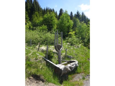 Holiday house Messmer - Environment photo 24