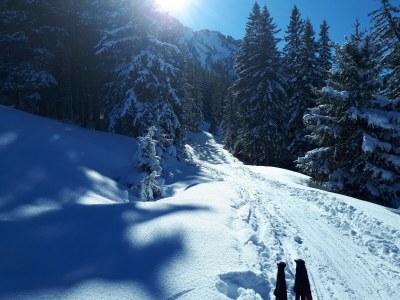 Holiday house Messmer - Environment photo 32