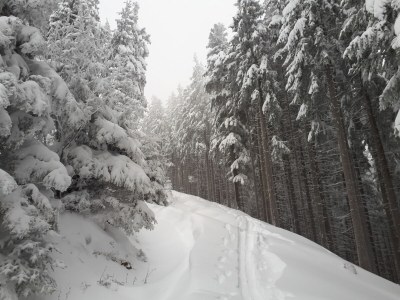 Holiday house Messmer - Environment photo 33