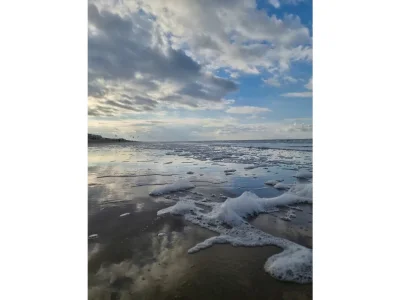 Holiday apartment Beach 44 - Environment photo 25