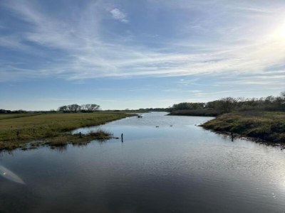 Holiday park Glamping-Zelt in den Niederlanden mit Terrasse - Environment photo 22