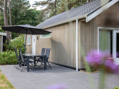 Holiday park Chalet in Hoenderloo am Teich, 4 PAX Von Belvilla - Outdoor photo 5