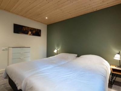 Holiday park Chalet in Hoenderloo am Teich, 4 PAX Von Belvilla - Features photo 19