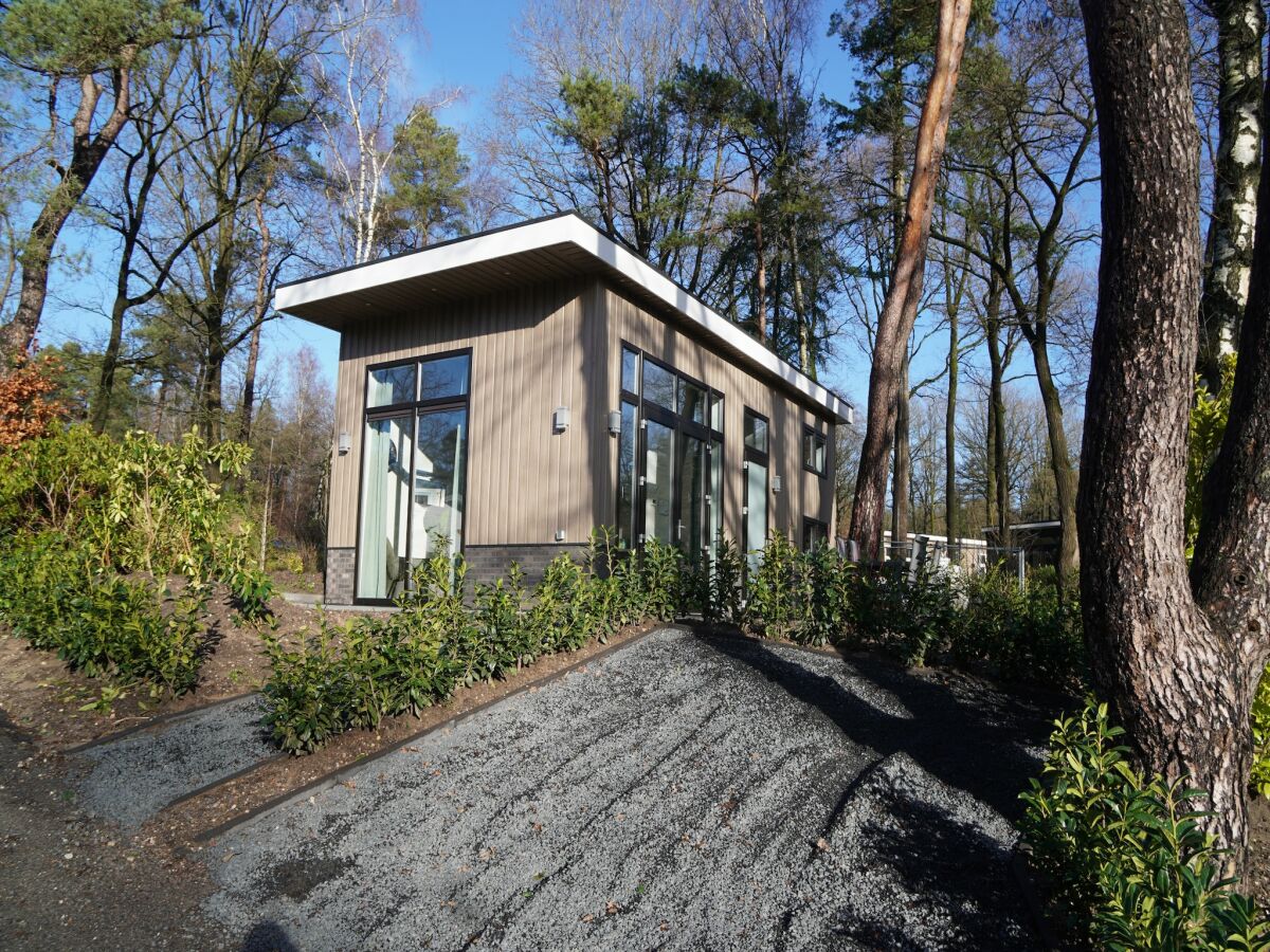 Holiday park Forest-View Tiny House - Outdoor photo 2