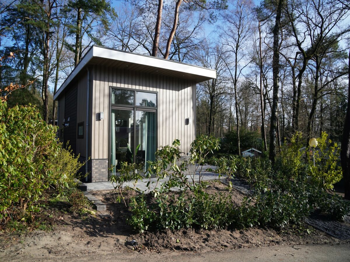 Holiday park Forest-View Tiny House - Outdoor photo 4