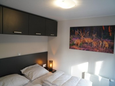 Holiday park Forest-View Tiny House - Features photo 11