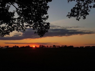 Holiday park Stylish Stay with Garden View - Environment photo 28