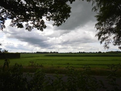 Holiday park Holiday Home in Hellendoorn near Forest - Environment photo 17