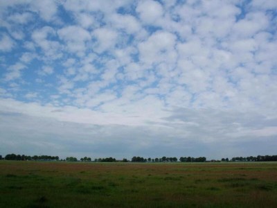 Holiday park Holiday Home in Hellendoorn near Forest - Environment photo 20