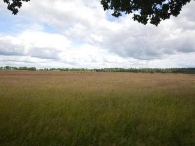 Holiday park Holiday Home in Hellendoorn near Forest - Environment photo 22