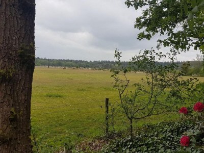 Holiday park Holiday Home in Hellendoorn near Forest - Environment photo 29