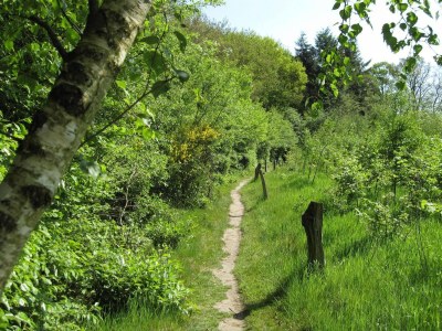 Holiday park Rückzugsort auf dem Land - Environment photo 19