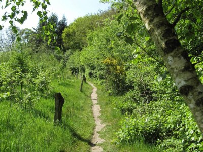 Holiday park Rückzugsort auf dem Land - Environment photo 24