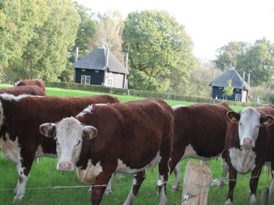 Holiday park Rückzugsort auf dem Land - Outdoor photo 32