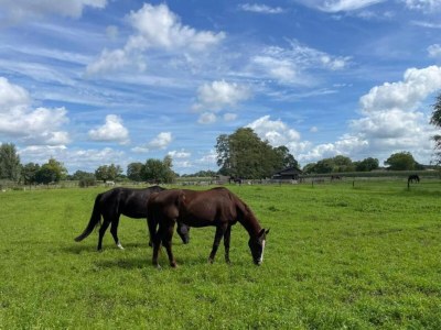 Holiday park Kurzurlaub mit überdachter Veranda - Environment photo 20