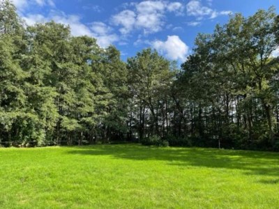 Holiday park Modern Forest Chalet - Environment photo 27