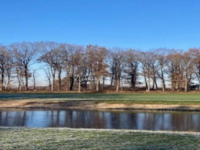 Holiday park Modern Forest Chalet - Environment photo 32