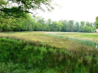 Holiday park Rustic-Chic Holiday Home - Environment photo 20