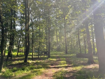 Holiday park Rustic-Chic Holiday Home - Environment photo 23