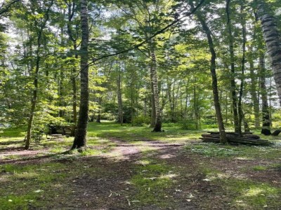 Holiday park Rustic-Chic Holiday Home - Environment photo 24