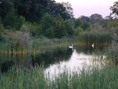 Holiday park Rustic-Chic Holiday Home - Environment photo 34