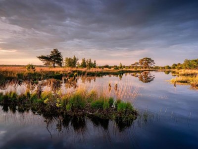 Holiday house Apartment in Drenthe near Scenic Trails - Environment photo 15