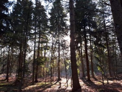 Holiday house Apartment in Drenthe near Scenic Trails - Environment photo 16