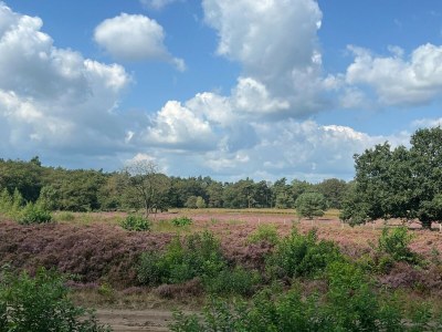 Holiday house Apartment in Drenthe near Scenic Trails - Environment photo 18