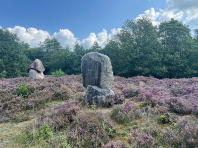 Holiday house Apartment in Drenthe near Scenic Trails - Environment photo 19