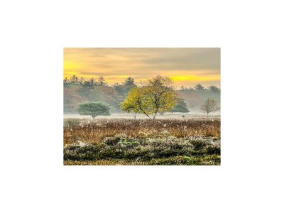 Holiday house Apartment in Drenthe near Scenic Trails - Environment photo 20