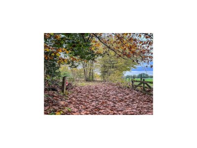 Holiday house Apartment in Drenthe near Scenic Trails - Environment photo 21