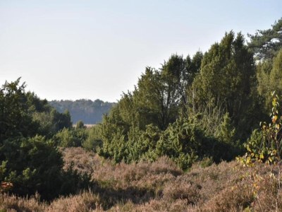 Holiday house Apartment in Drenthe near Scenic Trails - Environment photo 22