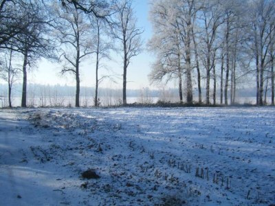 Holiday park Apartment in Netherlands with Scenic Meadows - Environment photo 10