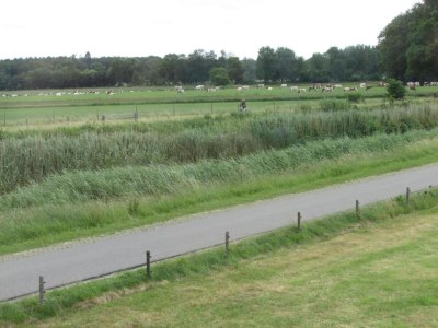 Holiday park Apartment in Netherlands with Scenic Meadows - Environment photo 16