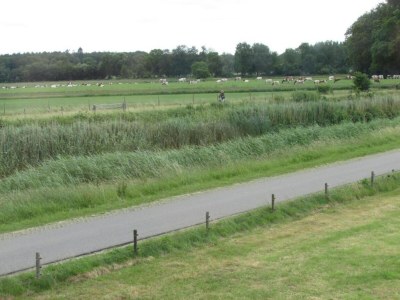 Holiday park Apartment in Netherlands with Scenic Meadows - Environment photo 22