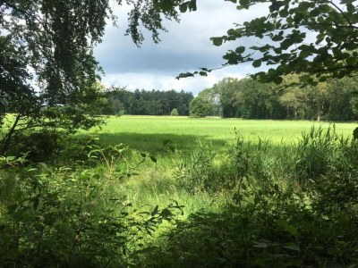 Holiday park Apartment in Netherlands with Scenic Meadows - Environment photo 27