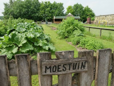 Holiday park Apartment in Netherlands with Scenic Meadows - Outdoor photo 36