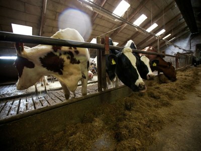 Holiday park Apartment in Netherlands with Scenic Meadows - Outdoor photo 40