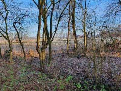 Holiday park Chalet in den Niederlanden mit Wiesenblick - Environment photo 23